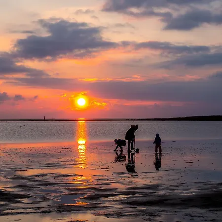 Mellumplate 18 ドルム・ノイフェルト