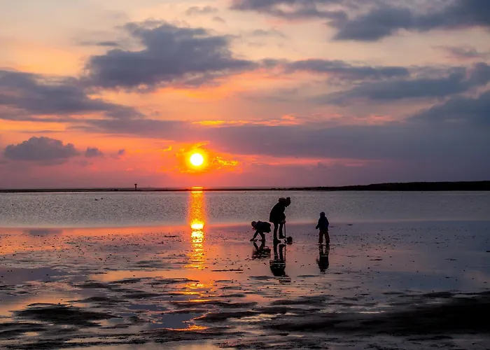 Mellumplate 18 دورم نيوفيلد