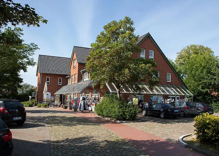 Mellumplate 18 دورم نيوفيلد