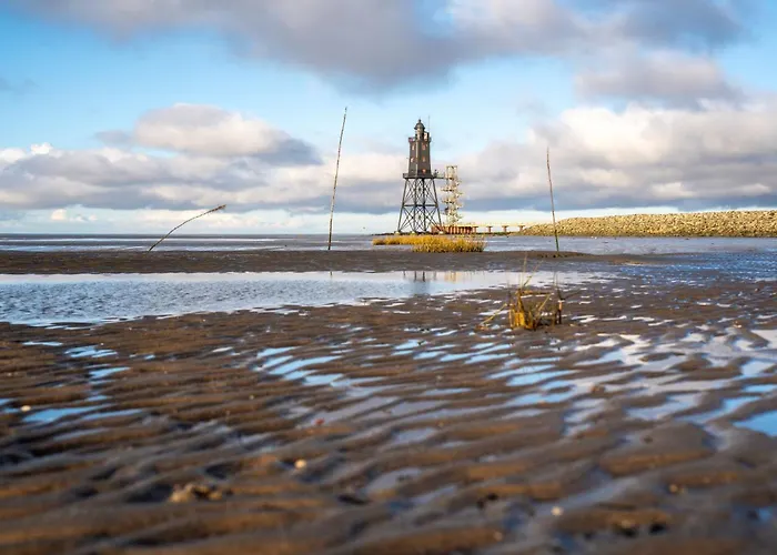 Mellumplate 18 دورم نيوفيلد