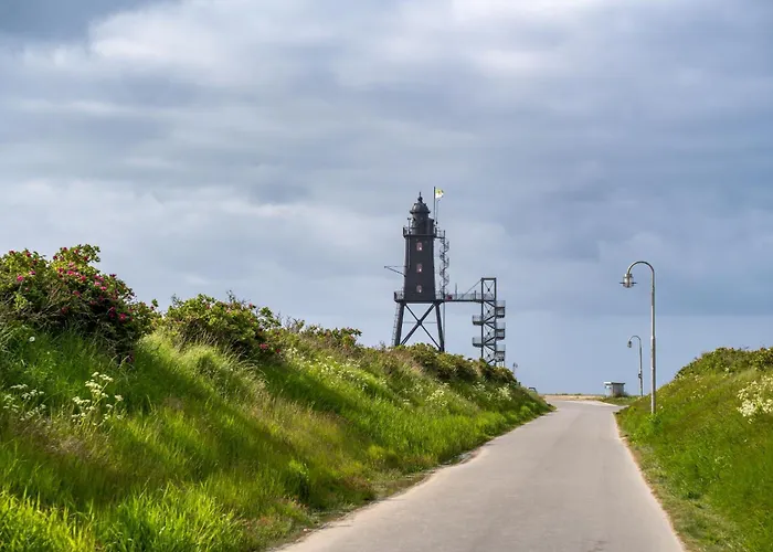 Mellumplate 18 دورم نيوفيلد